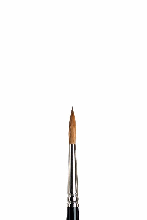 Winsor & Newton – Serie 7 (mårdhår)