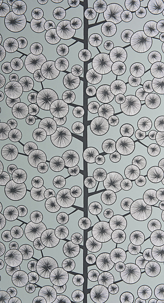 Midbec Cotton Tree Silverto - MISP1262