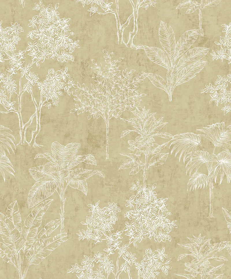 Fiona Grace TROPICAL FOREST - 36103
