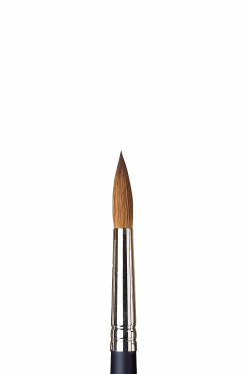 Winsor & Newton – Artist Rund (mårdhår)