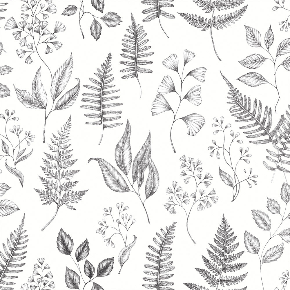 Midbec Betula - 15936