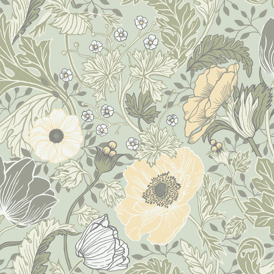 Midbec Anemone - 34034