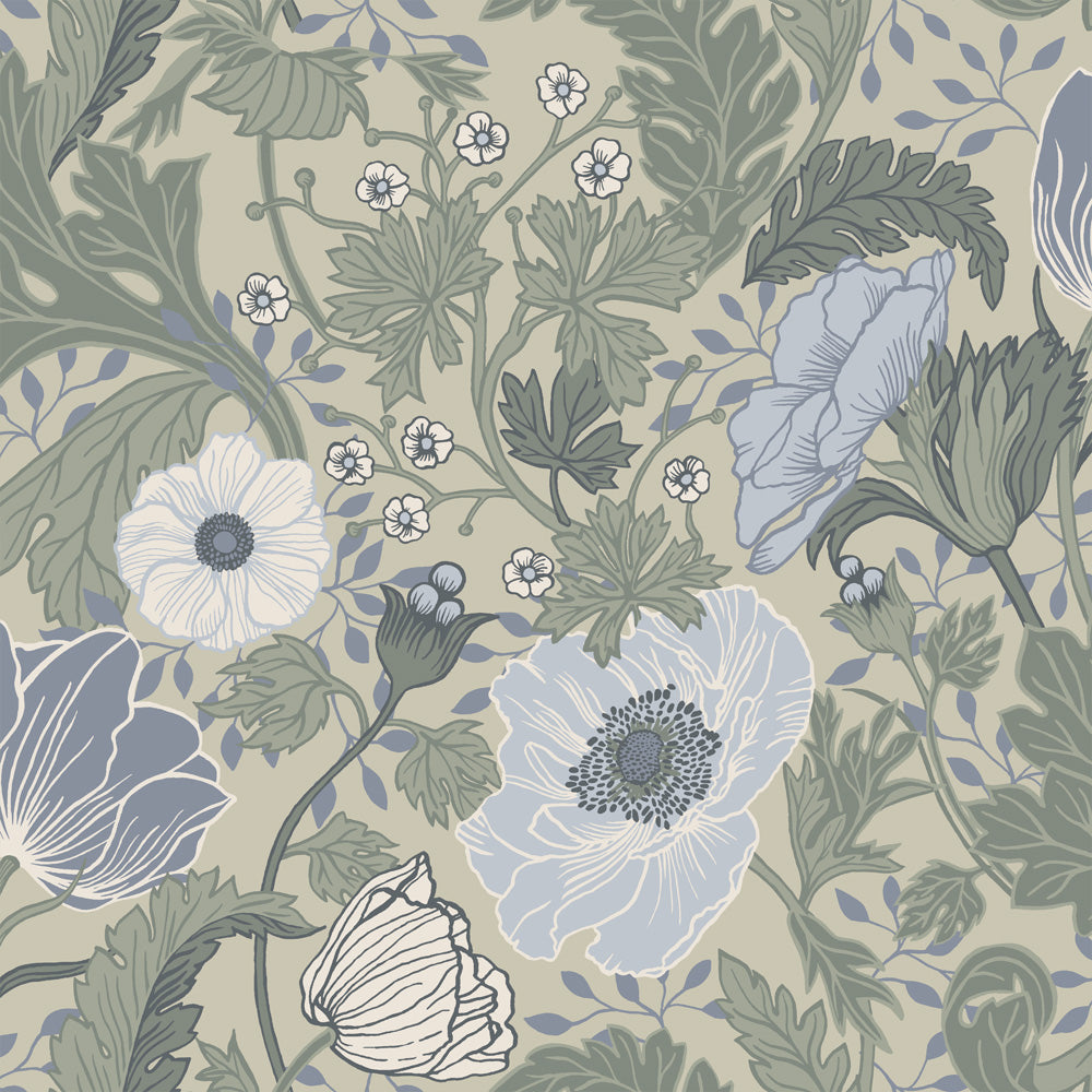 Midbec Anemone - 34035