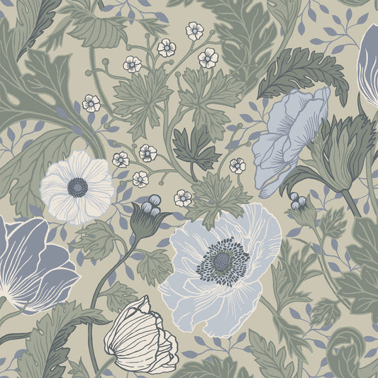 Midbec Anemone - 34035