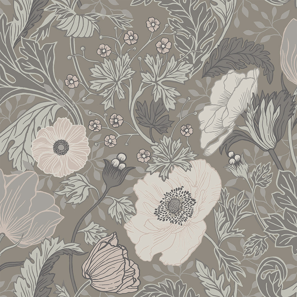 Midbec Anemone - 44102