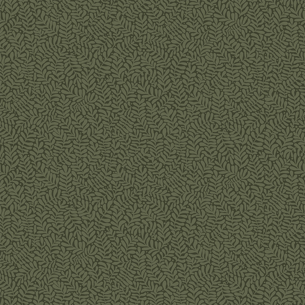 Midbec Anna - 55000