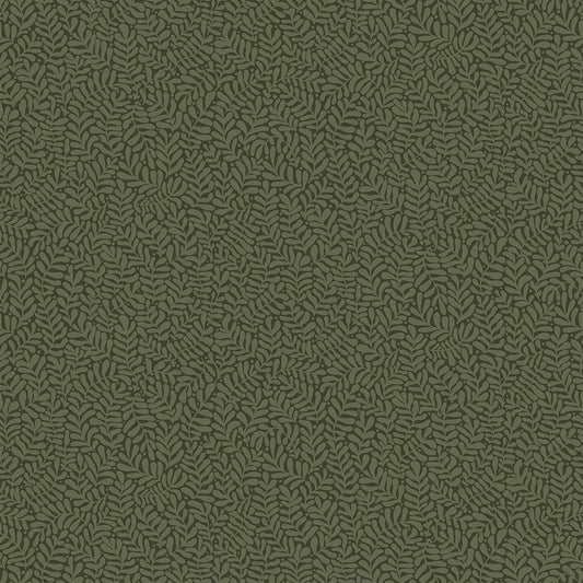 Midbec Anna - 55000