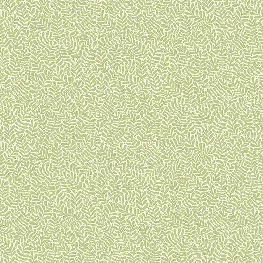 Midbec Anna - 55001