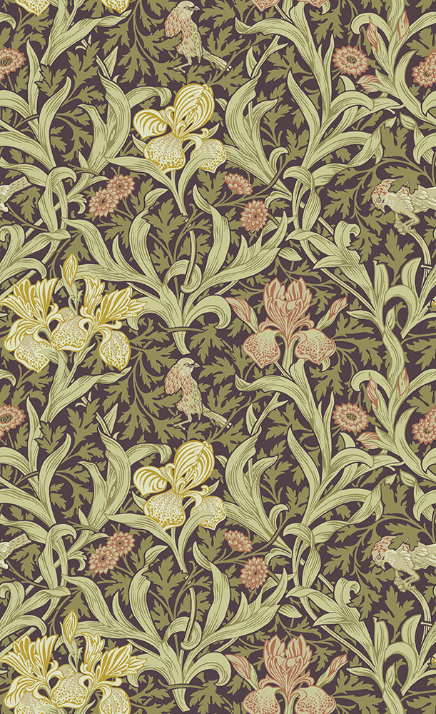 Midbec Iris - 82052