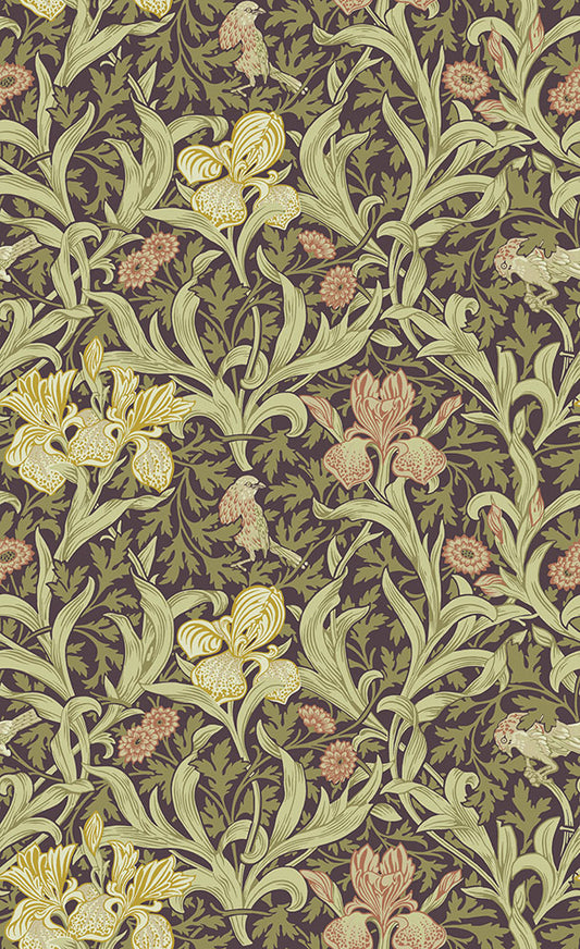 Midbec Iris - 82052