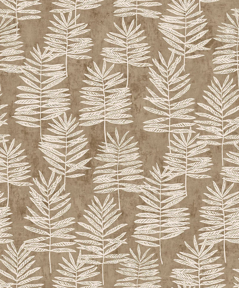 Fiona Grace MODERN POLYPODY - 36502