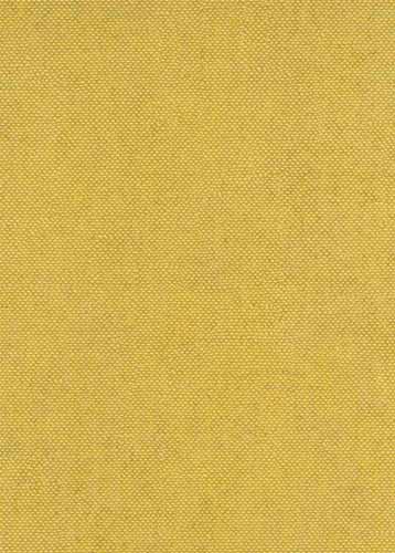 Midbec Lys Acacia - CLR005
