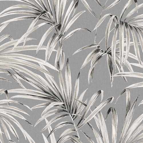 Midbec Palm Midnight - LOT102