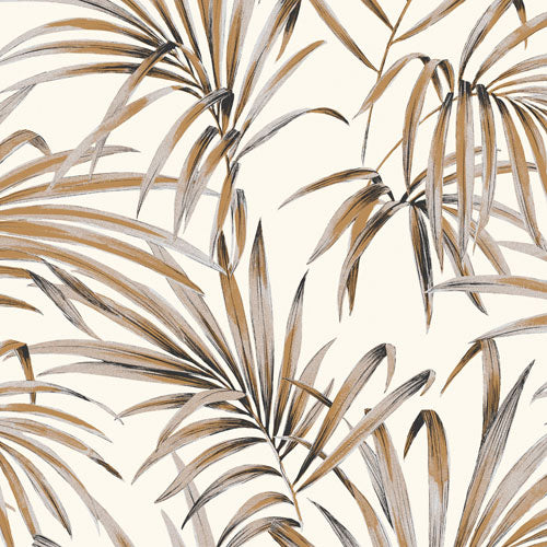 Midbec Palm Ginger - LOT107