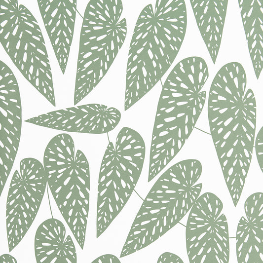 Midbec Tropics Foliage - MISP1290