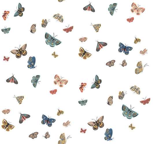 Midbec Butterfly House - RF7411