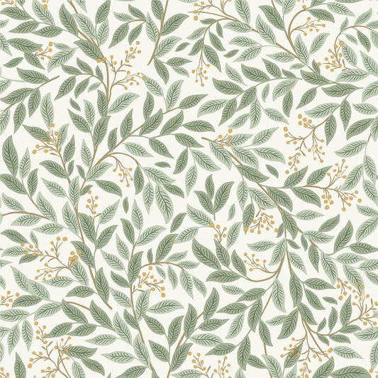 Midbec Willowberry - RF7465