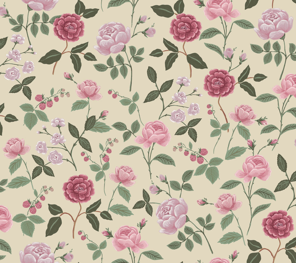 Midbec Roses - RF7541
