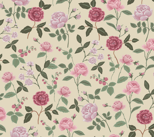 Midbec Roses - RF7541