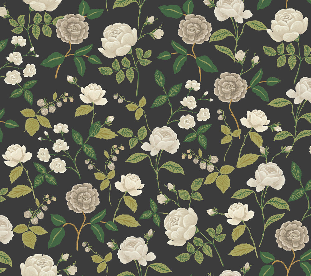 Midbec Roses - RF7542
