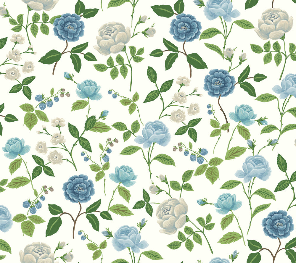 Midbec Roses - RF7543