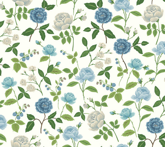 Midbec Roses - RF7543