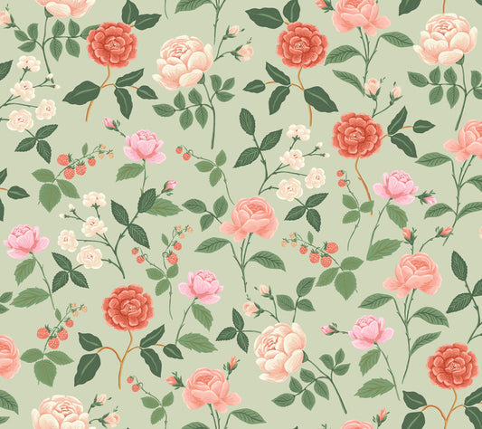 Midbec Roses - RF7545
