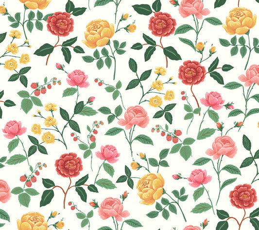Midbec Roses - RF7546