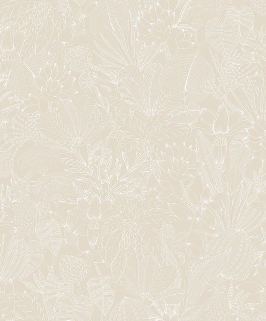 Midbec Bellis Angora - ROM101