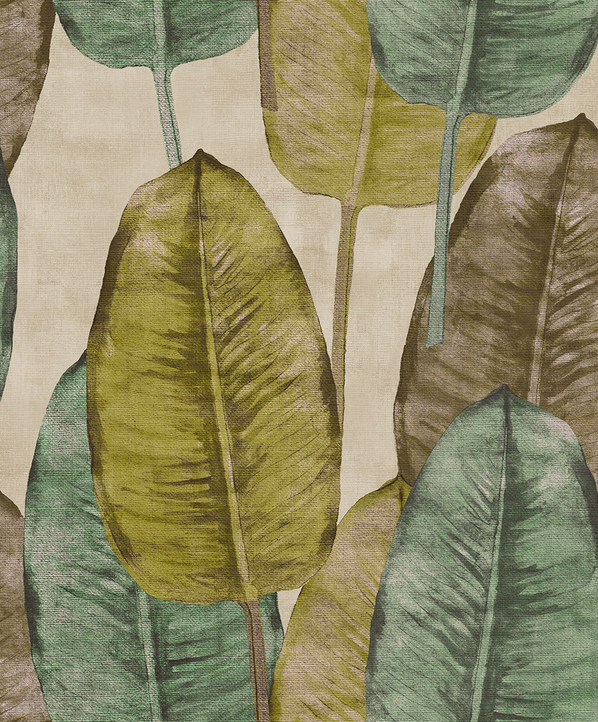 Midbec Rubber Tree - TA25081
