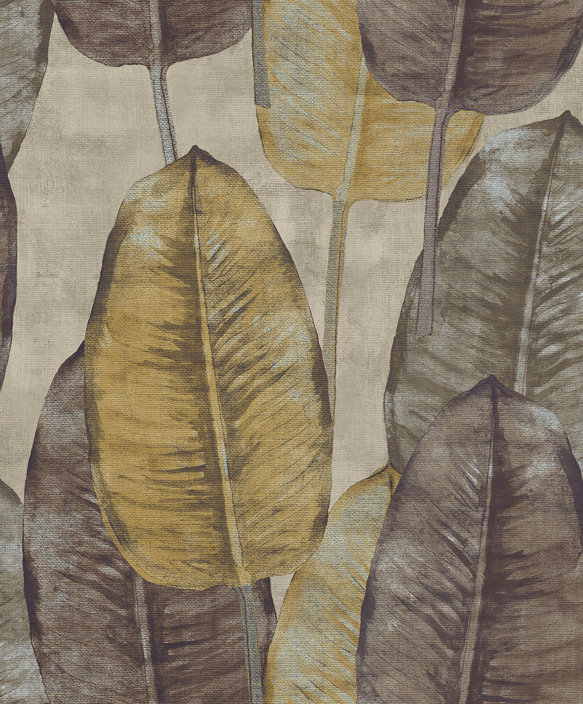 Midbec Rubber Tree - TA25082