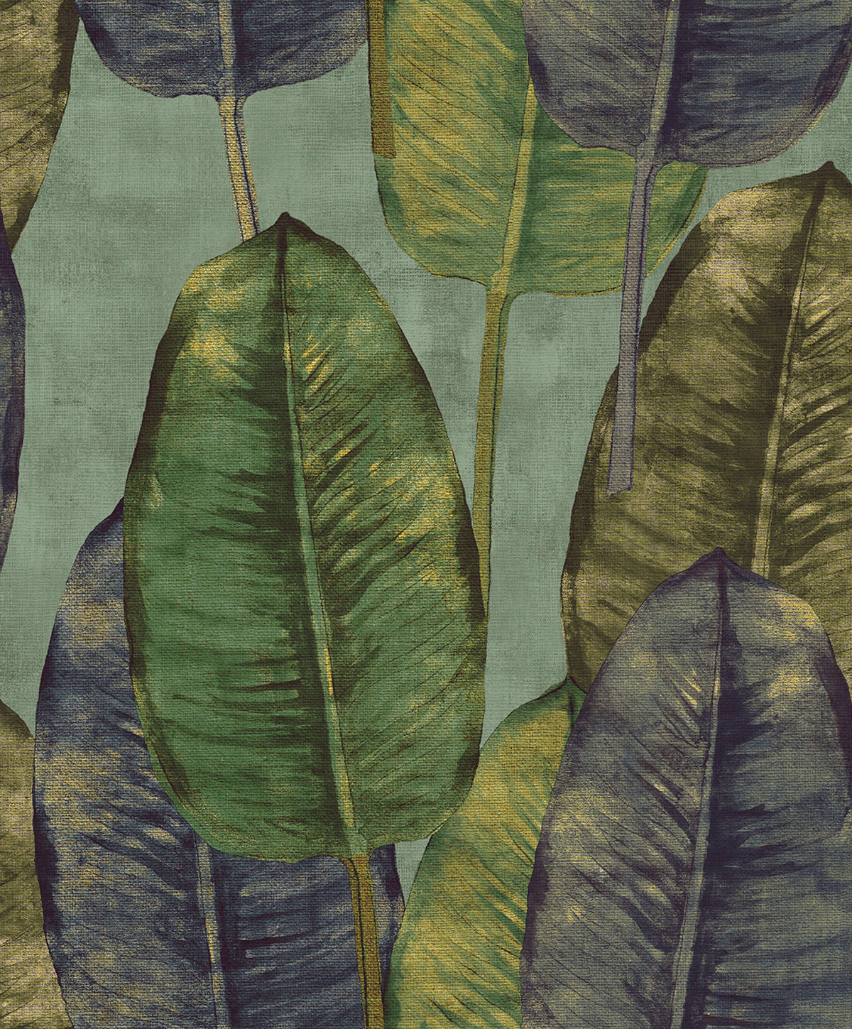 Midbec Rubber Tree - TA25083