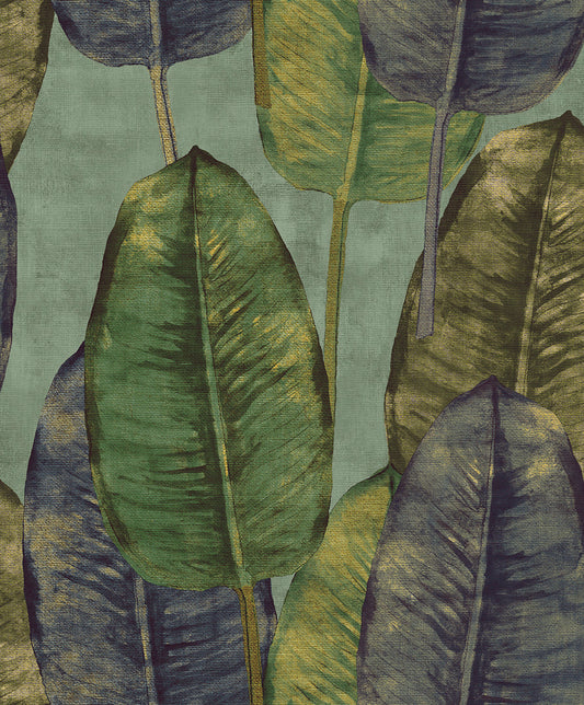 Midbec Rubber Tree - TA25083