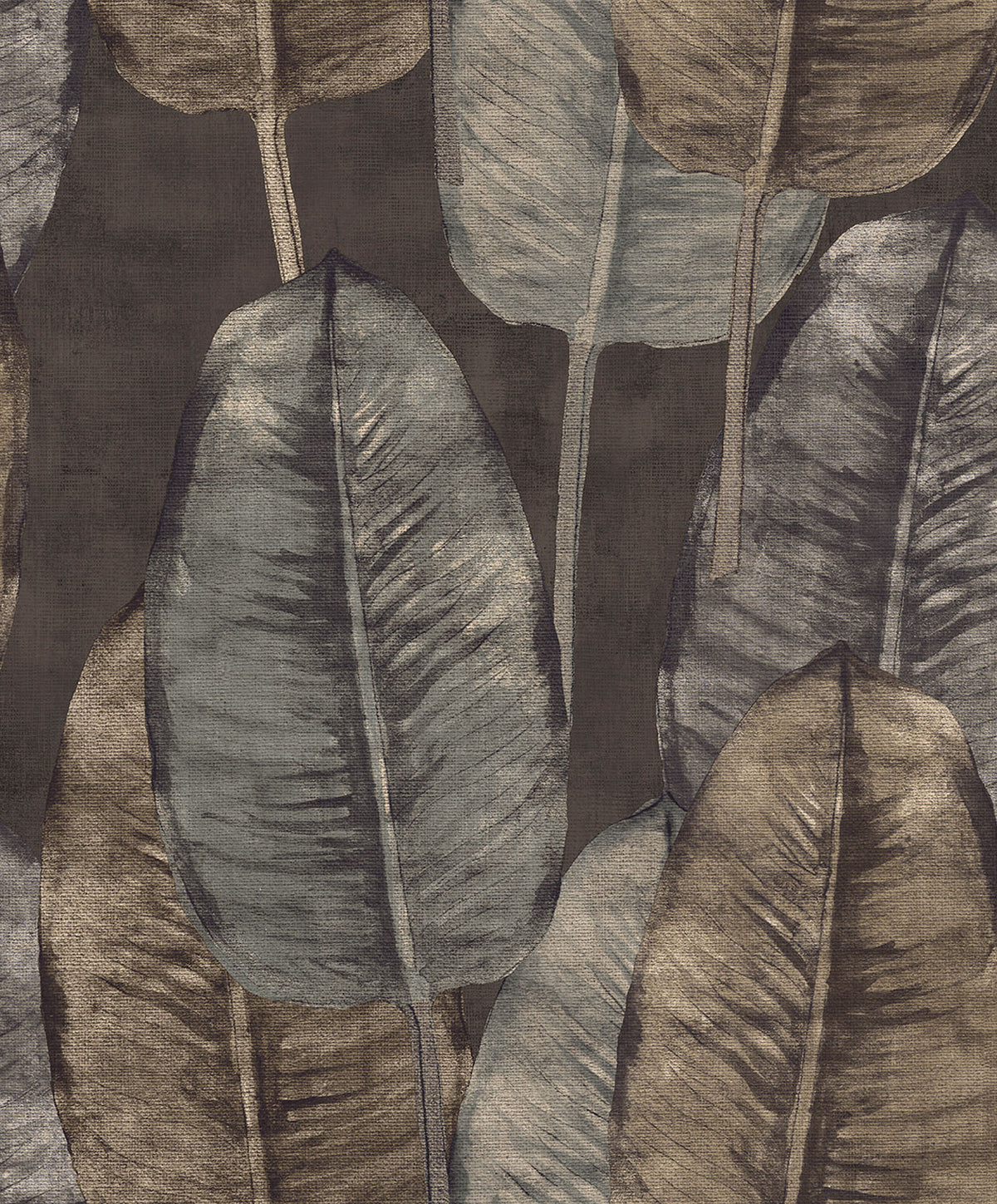 Midbec Rubber Tree - TA25084