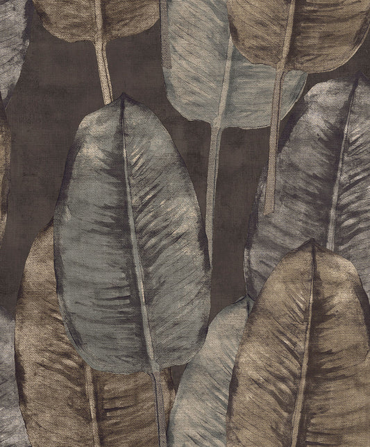 Midbec Rubber Tree - TA25084
