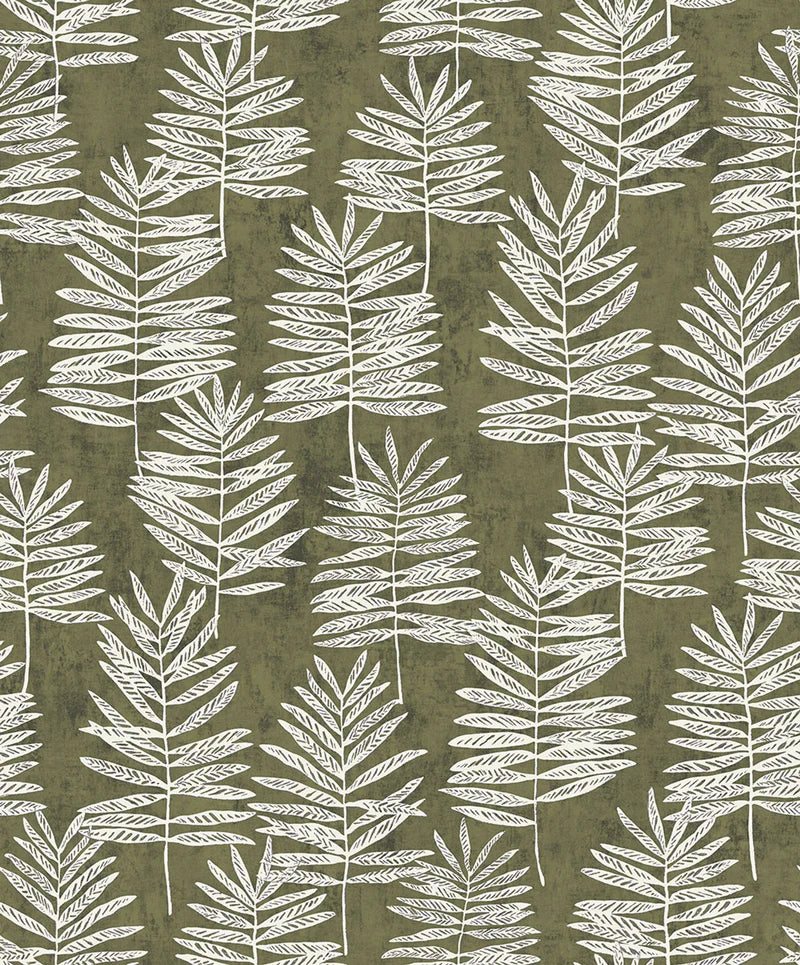 Fiona Grace MODERN POLYPODY - 36501