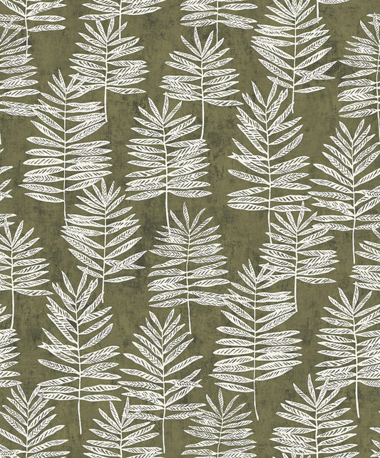 Fiona Grace MODERN POLYPODY - 36501